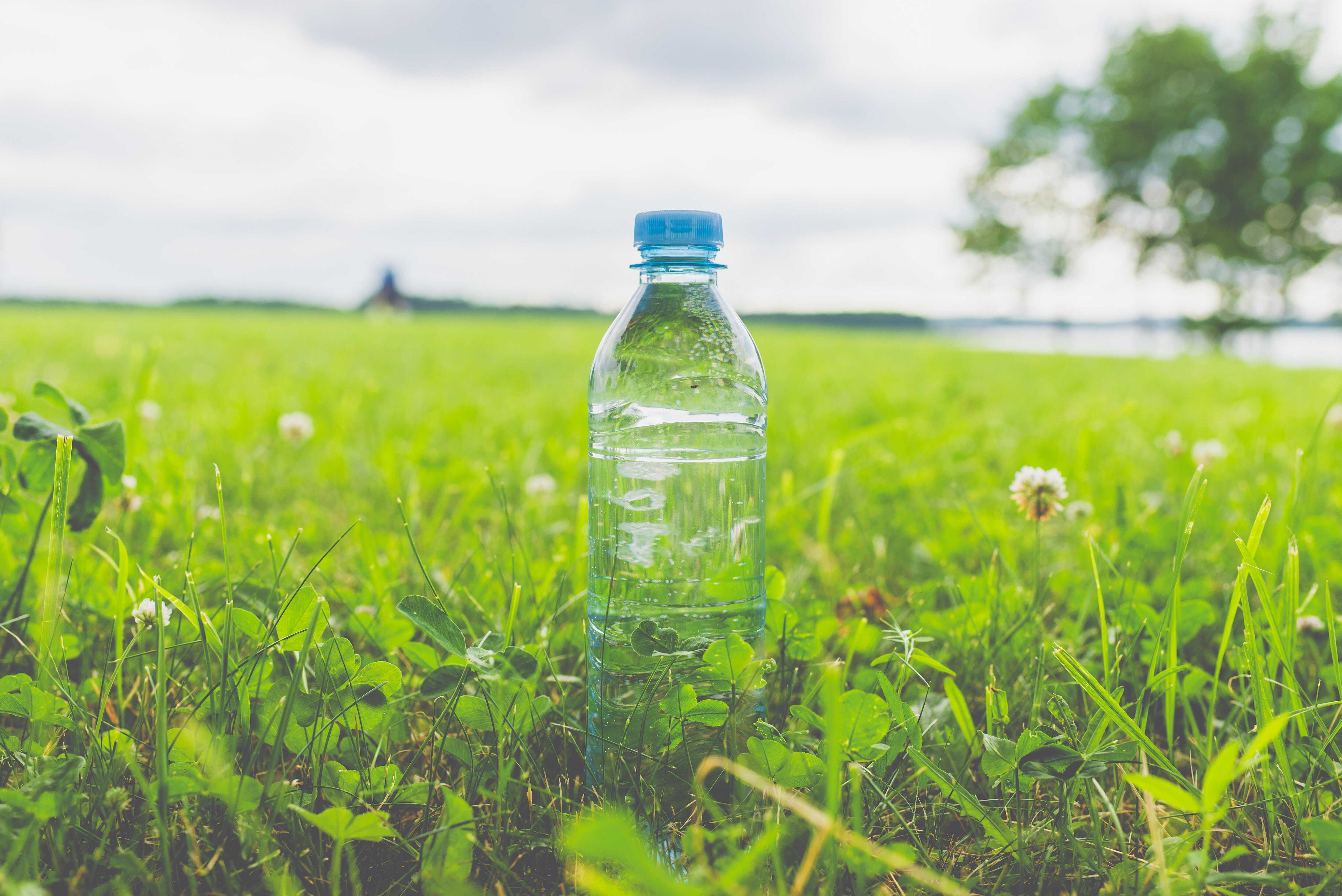 Beverage Sustainability