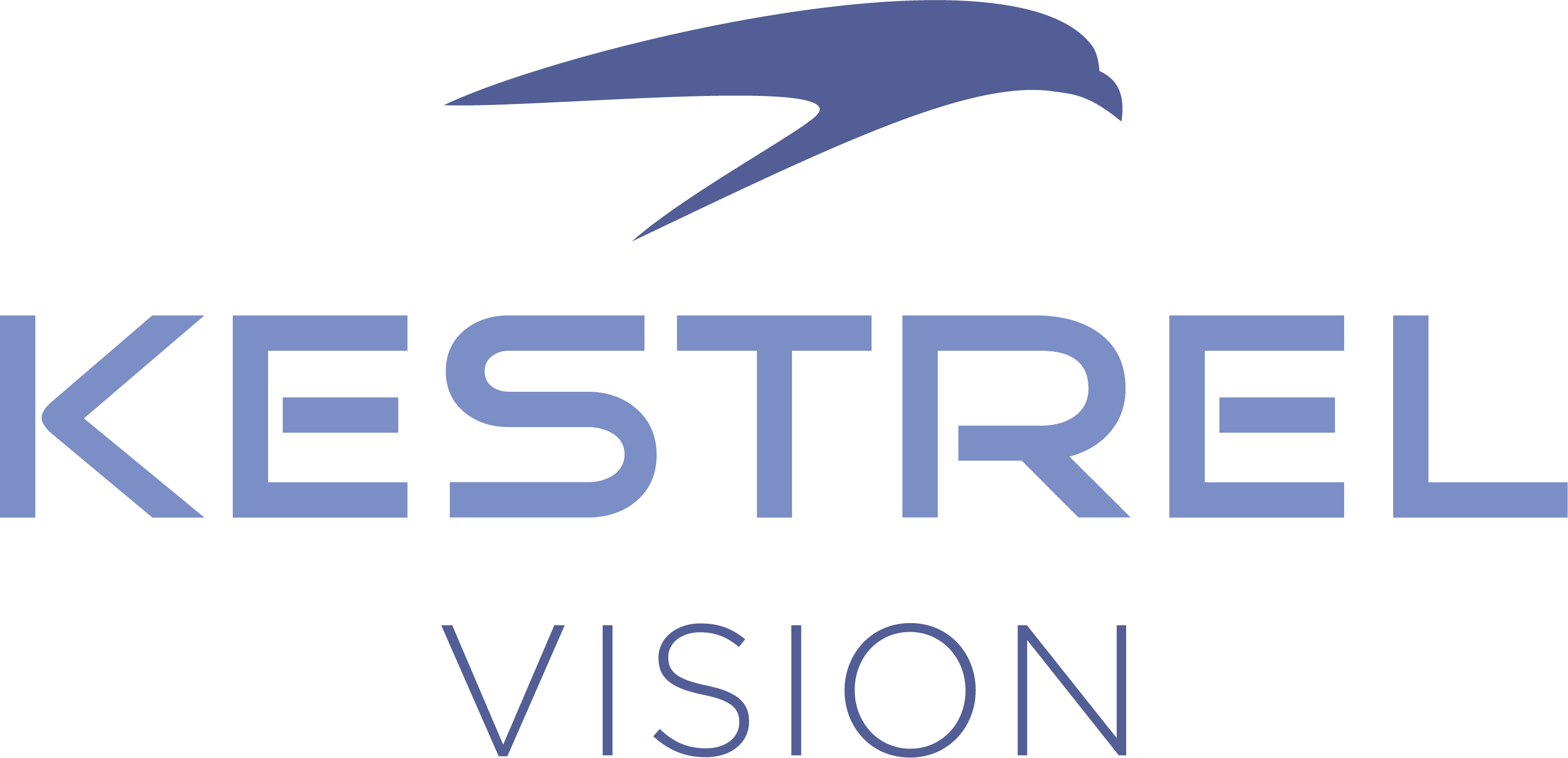 KESTREL VISION LOGO 2023-1